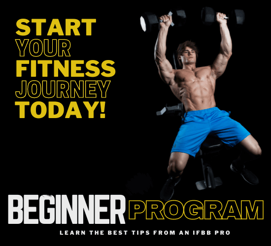 Student of Aesthetics - Beginner Program