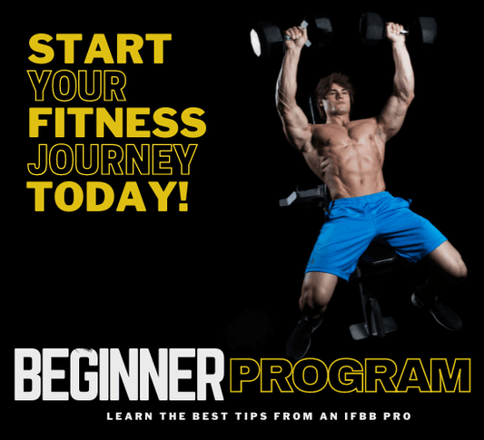 Student of Aesthetics - Beginner Program